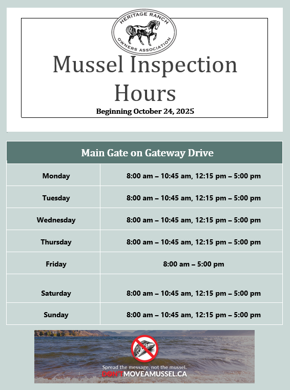 Mussel Hours